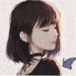 动漫爱好者